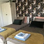 B & B Rosamie